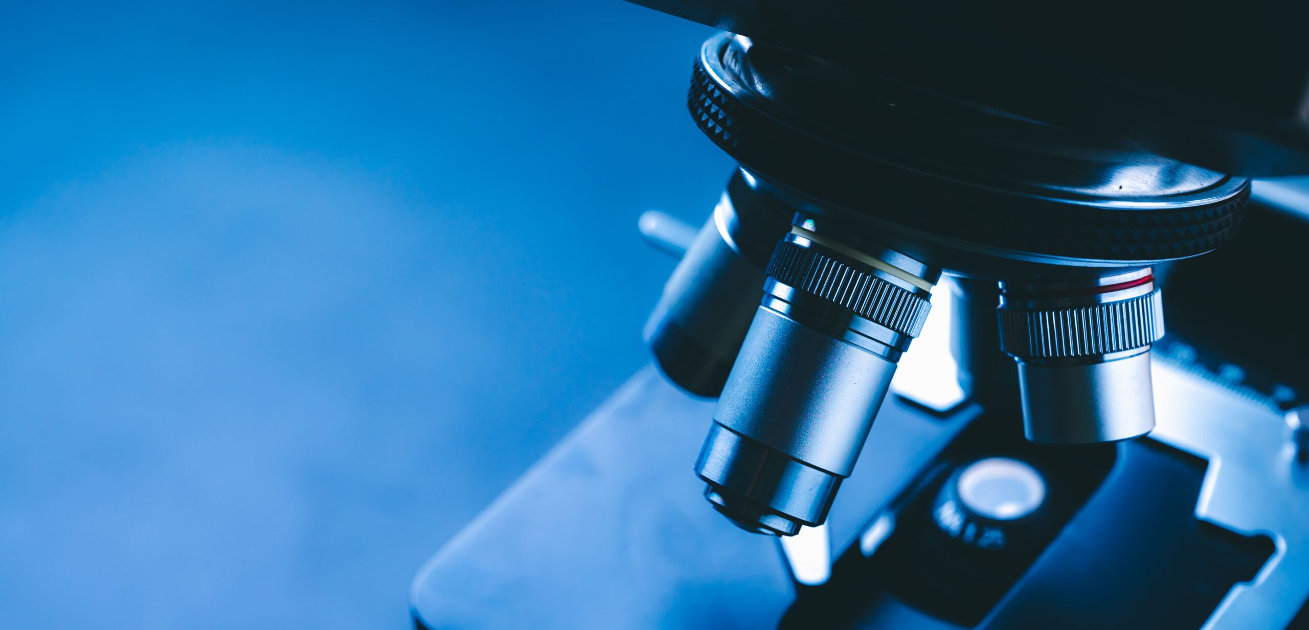 Des chercheurs étudient la résistance des parasites équins aux vermifuges de synthèse en laboratoire.