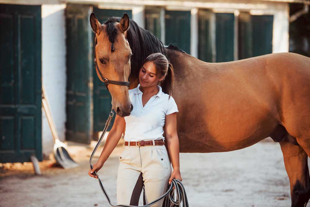 Nourrissez votre cheval avec une ration riche en fibres et pauvre en amidon avec Equifolia Sensiva.