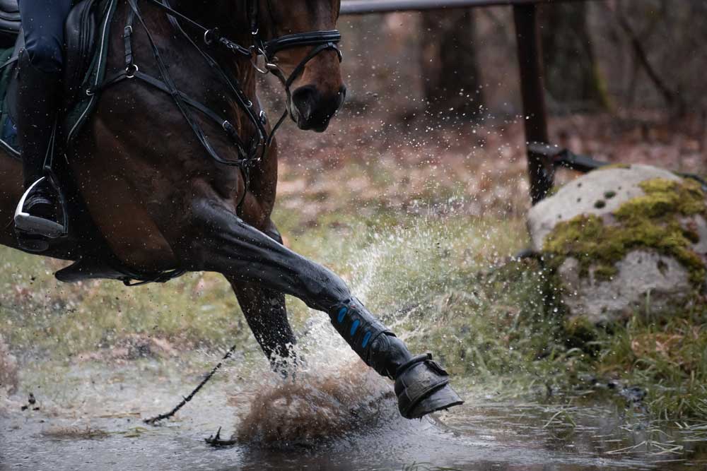 L'aliment Equifolia Olympia, une formulation adaptée aux efforts intenses et au confort digestif. du cheval athlète.