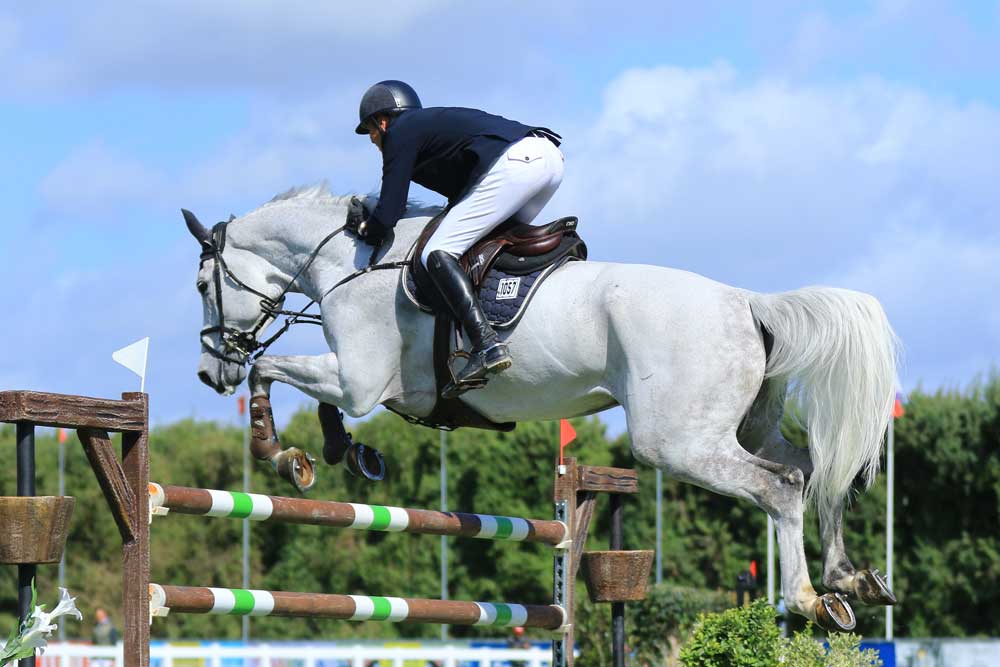 Sensiva ou Olympia : quel aliment choisir ?