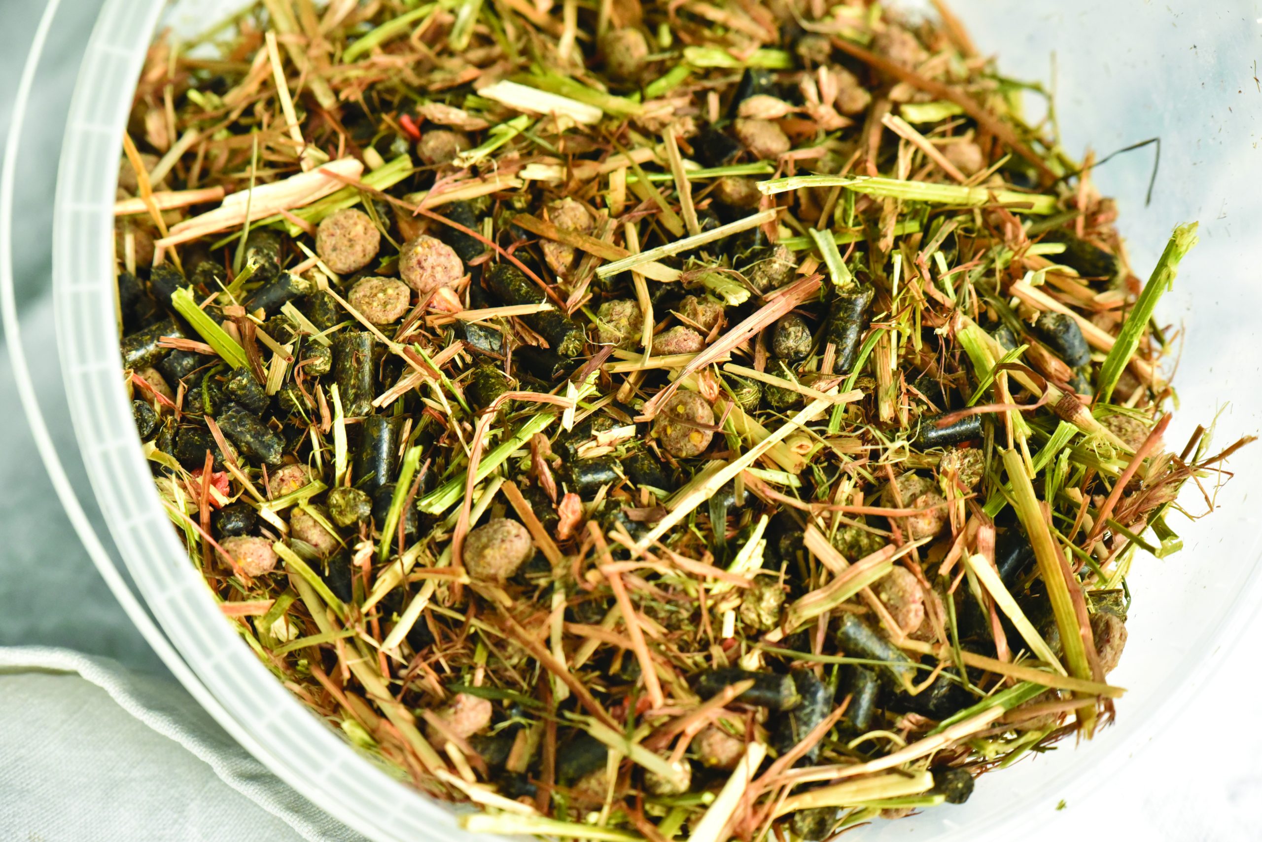 Gamme d’aliments Equifolia® à base de sainfoin, illustrant l’évolution maîtrisée des formules Sensiva, Olympia et Crescenda.