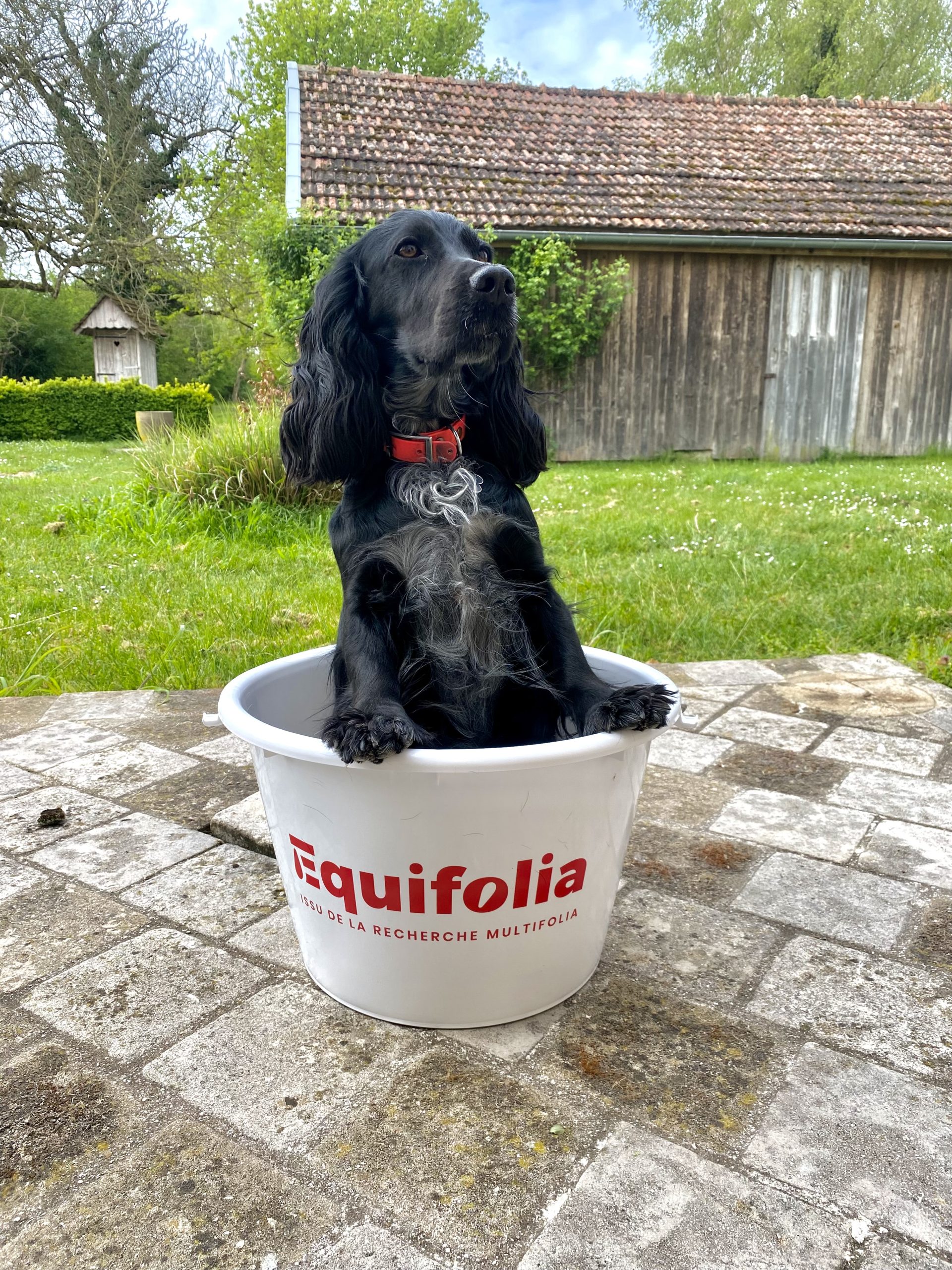 Seau 15L Equifolia® – Image 2