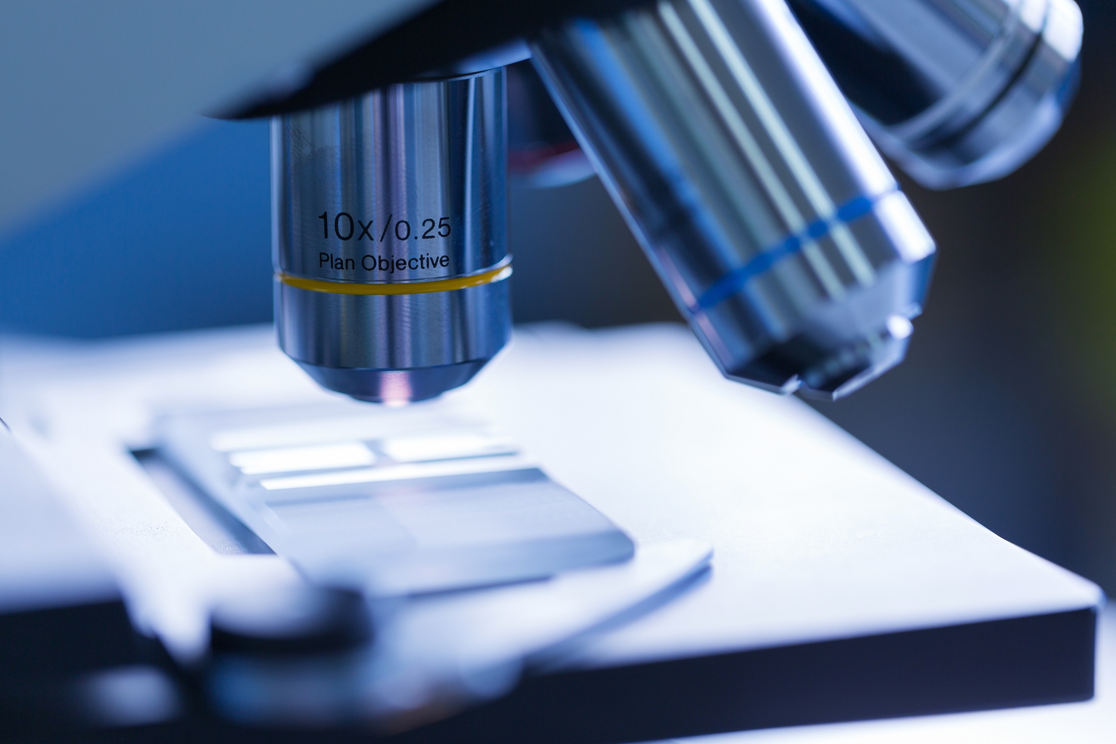 Microscope utilisé pour réaliser une coproscopie équine et observer les œufs de parasites digestifs présents dans les crottins